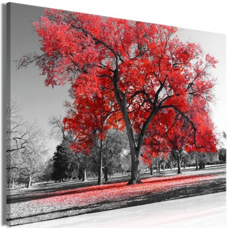 Cuadro - Autumn in the Park (1 Part) Wide Red
