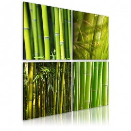 Quadro - Bambus