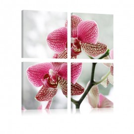 Cuadro - Orquídea fantasiosa