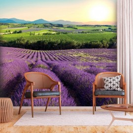 Papel de parede autocolante - Lavender Field