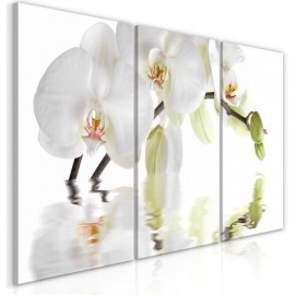 Cuadro - Wonderful Orchid (3 Parts)