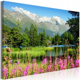 Quadro - Spring in the Alps (1 Part) Wide