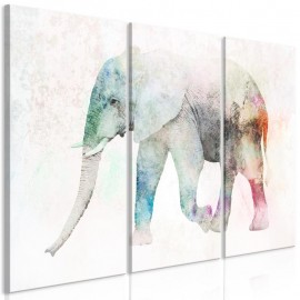 Quadro - Painted Elephant (3 Parts)