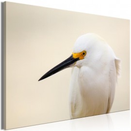 Quadro - Snowy Egret (1 Part) Wide