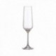 COPA 21 CLS. CHAMPAN FLAUTA TORI OPEN BOX