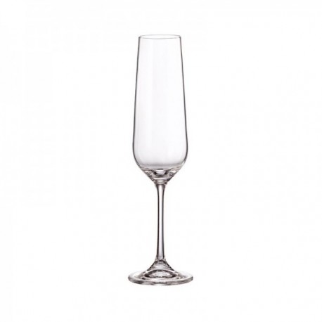 COPA 21 CLS. CHAMPAN FLAUTA TORI OPEN BOX