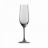 Caixa 6 xícaras 23 cls. Nº 7 FTA Champan. Viña Schott
