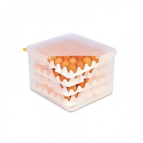 Recipiente de plástico 19 L. Portahuevos GN 2/3