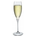 Taças champagne e cava